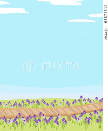 菖蒲園にかかる橋(空) 菖蒲園にかかる橋(空) 63875310
