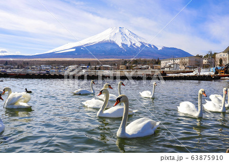 【山梨県】雪化粧の富士山と山中湖と白鳥 63875910