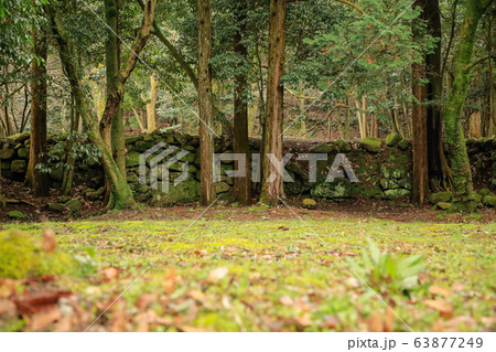 妻木城士屋敷跡_石垣_6 63877249