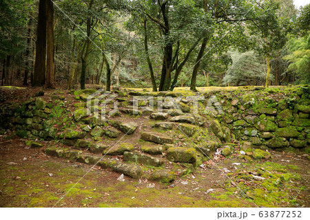 妻木城士屋敷跡_石垣_4 63877252