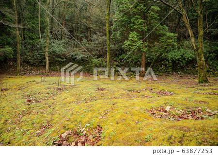 妻木城士屋敷跡 63877253