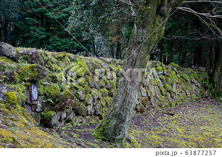 妻木城士屋敷跡_石垣_1 63877257