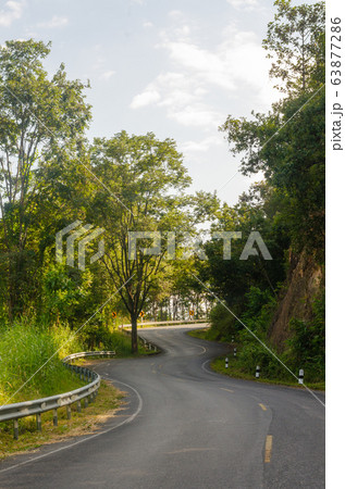 Curved road among forest in the rural road area 63877286