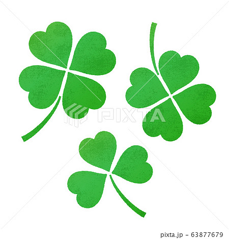 クローバー 63877679