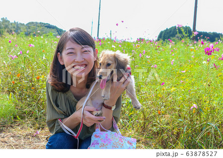 愛犬とお花見 カニンヘンダックスフンド 愛犬とお花見 カニンヘンダックスフンド 63878527