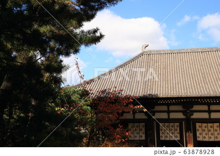 金堂、国宝、唐招提寺、大棟の鴟尾、世界遺産 63878928