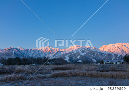 朝陽を浴びる北アルプス　　北安曇郡白馬村 63879899