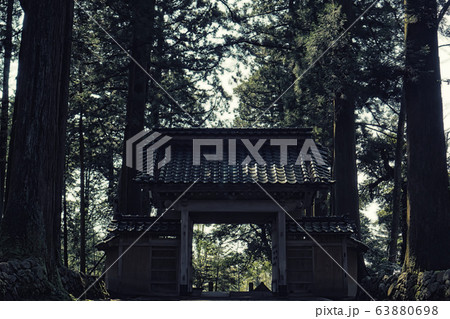 神の宿る境内 63880698