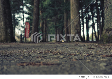 神の宿る境内 63880701