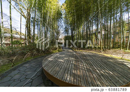 修善寺 竹林の小径 修善寺 竹林の小径 63881789