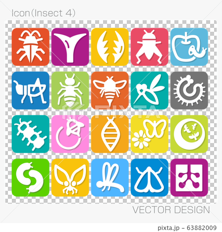 Insect 4 Vector Design Insect 4 Vector Design 63882009