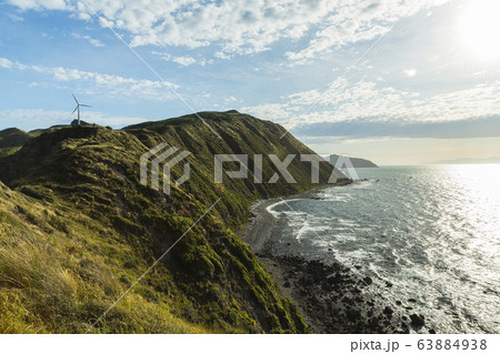 ニュージーランド　ウェリントン　マカラ・ウォークウェイから見える風景 63884938
