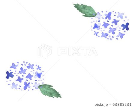 アジサイ　水彩　フレーム 63885231