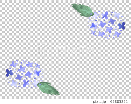 アジサイ　水彩　フレーム 63885231