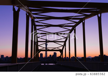 橋とスカイツリー 橋とスカイツリー 63885562