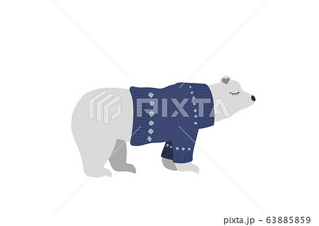 Bear, polar bear Bear, polar bear 63885859