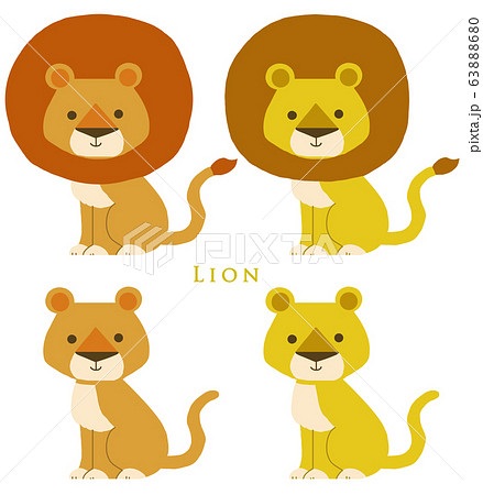 ライオン Lion Lion らいおん イラスト 絵 オシャレのイラスト素材 63888680 Pixta
