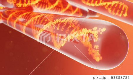 DNA molecule, its structure. Concept human genome. DNA molecule with modified genes. Conceptual illustration of a dna molecule inside a glass test tube with liquid. Medical equipment, 3D illustration DNA molecule, its structure. Concept human genome. DNA molecule with modified genes. Conceptual illustration of a dna molecule inside a glass test tube with liquid. Medical equipment, 3D illustration 63888782