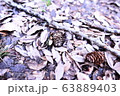 冬の足元 63889403