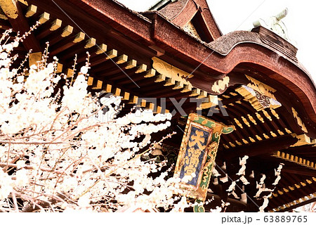 生田神社 63889765