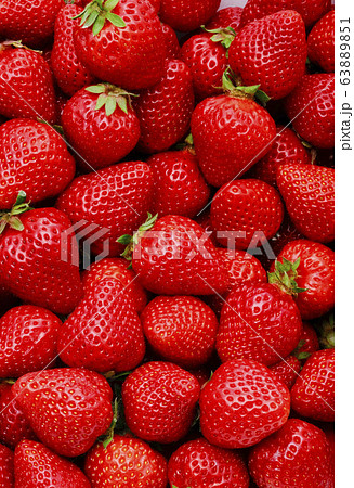 イチゴ イチゴ 63889851