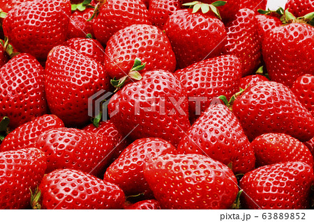 イチゴ イチゴ 63889852