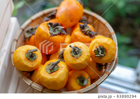 渋柿 干し柿 柿 渋柿 干し柿 柿 63890294