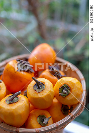 渋柿　干し柿　柿 63890296