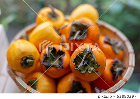 渋柿　干し柿　柿 63890297