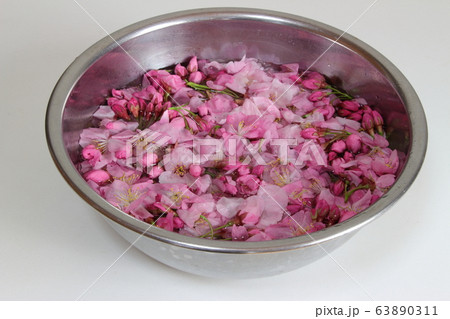 桜の塩漬け 桜の塩漬け 63890311