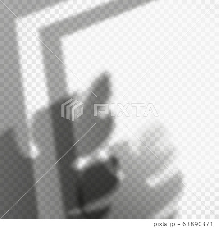 Shadow of opened window frame and monstera leaves. 63890371