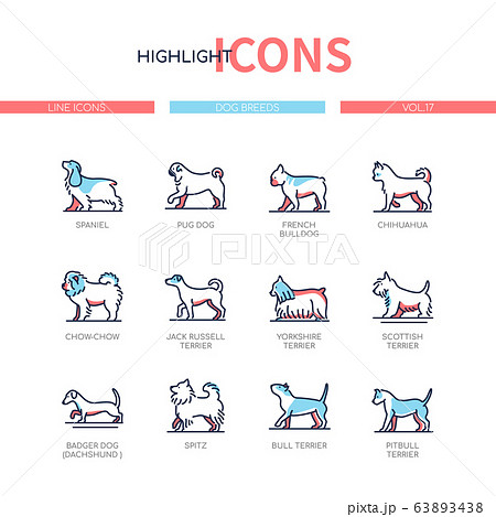 Dog breeds - modern line design style icons set 63893438