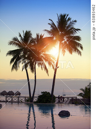 Silhouette of palm trees by the sea on a sunset background. Tahiti, Polynesia 63893462