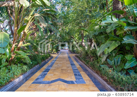 idyllic streets in a spanish city park 63893714