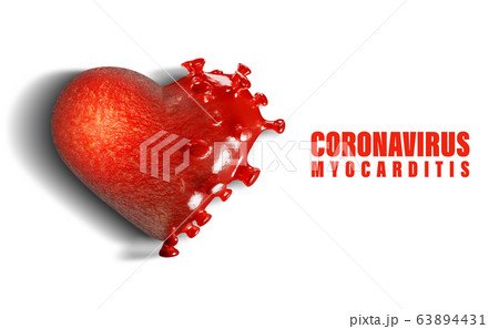 3D render – Concept of healthy and damaged heart by disease called myocarditis or inflammation of the heart muscle caused by Corona virus – Covid-19. Copy space for text, white isolated background. 3D render – Concept of healthy and damaged heart by disease called myocarditis or inflammation of the heart muscle caused by Corona virus – Covid-19. Copy space for text, white isolated background. 63894431