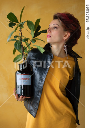 Studio portrait of glamorous lady in punk rock style party clothes with dark pink mohawk in casual dress, black leather jacket, and long earrings on yellow background holding flowerpot with ficus 63898066