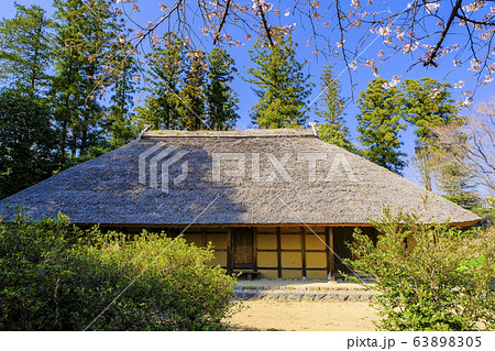 花びらと古民家 63898305