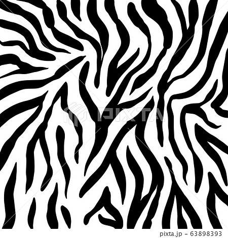 Animal background. Zebra texture. Mammals Fur. Print skin. Predator Camouflage. Printable Vector 63898393