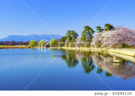 赤城山と五料沼１ 63899110