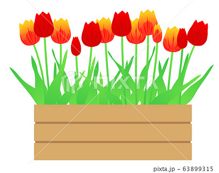 チューリップとコンテナのイラスト素材のイラスト素材