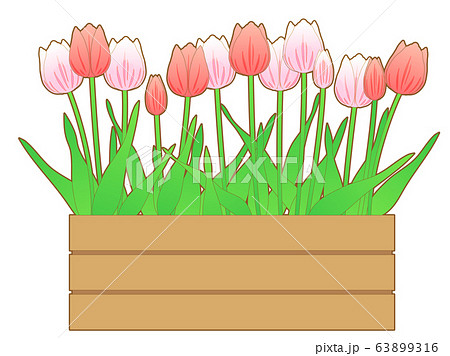チューリップとコンテナのイラスト素材のイラスト素材