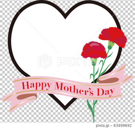 Mothers day carnation heart copy space Mothers day carnation heart copy space 63899692