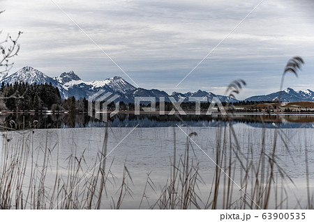 Landscape of a specular reflection in the lake, a dry grass, a cane and snags in the foreground, mountains and the forest on a background, ice on water, grass is covered with hoarfrost, tranquillity Landscape of a specular reflection in the lake, a dry grass, a cane and snags in the foreground, mountains and the forest on a background, ice on water, grass is covered with hoarfrost, tranquillity 63900535