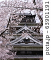 満開の桜と広島城 63901191