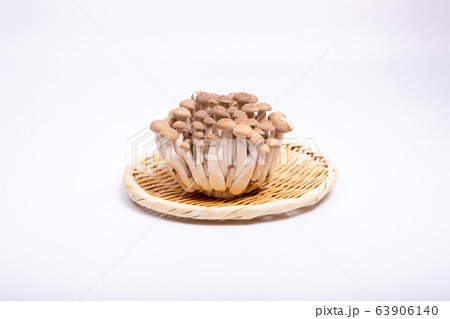 ブナシメジ 63906140