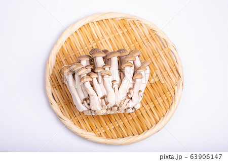 ブナシメジ ブナシメジ 63906147