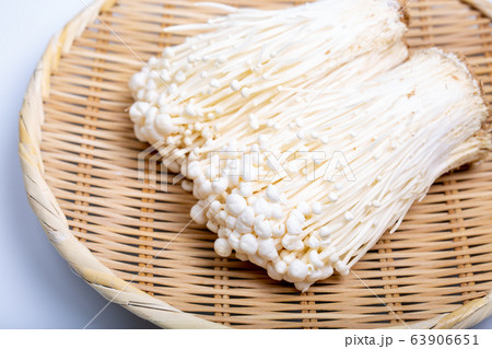 エノキ エノキ 63906651