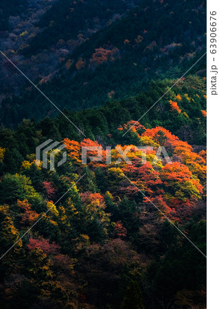 紅葉の山に光射す 63906676