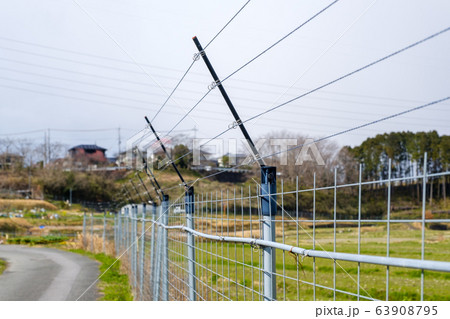 電磁柵 電気柵 農業 畑 獣害対策 フェンス 田舎 電磁柵 電気柵 農業 畑 獣害対策 フェンス 田舎 63908795