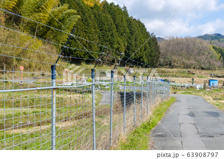 電磁柵 電気柵 農業 畑 獣害対策 フェンス 田舎 電磁柵 電気柵 農業 畑 獣害対策 フェンス 田舎 63908797